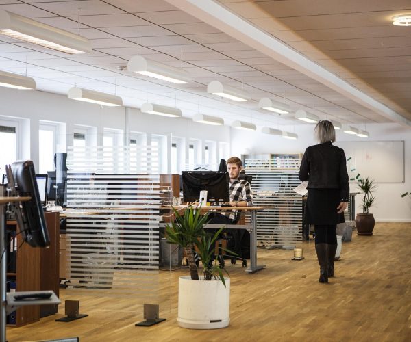 office, business, company, office, office, office, office, office-2360063.jpg